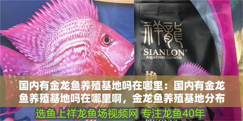 國內有金龍魚養殖基地嗎在哪里：國內有金龍魚養殖基地嗎在哪里啊，金龍魚養殖基地分布及地點探 國內有金龍魚養殖基地嗎在哪里：國內有金龍魚養殖基地嗎在哪里啊，金龍魚養殖基地分布及地點探 水族問答