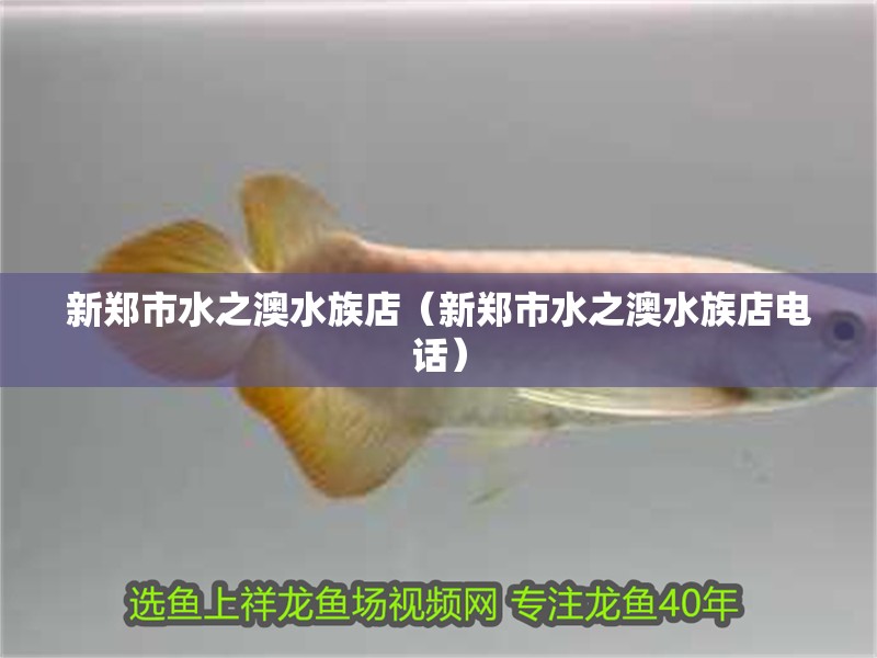 新鄭市水之澳水族店（新鄭市水之澳水族店電話）