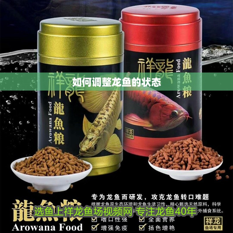如何調(diào)整龍魚的狀態(tài) 如何調(diào)整龍魚的狀態(tài) 龍魚百科 第2張