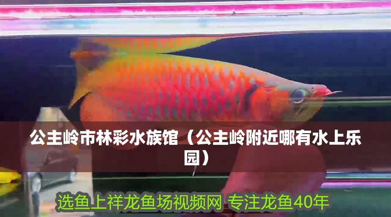 公主嶺市林彩水族館（公主嶺附近哪有水上樂園） 公主嶺市林彩水族館（公主嶺附近哪有水上樂園） 全國水族館企業名錄 第2張