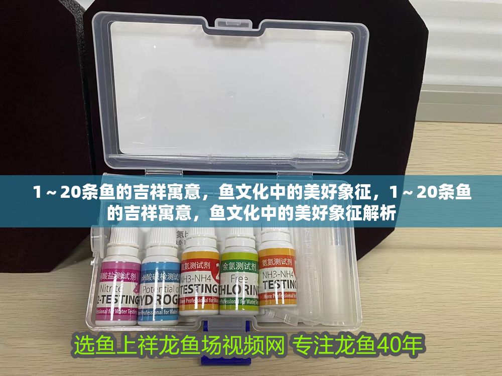 1~20條魚(yú)的吉祥寓意,魚(yú)文化中的美好象征,1~20條魚(yú)的吉祥寓意,魚(yú)文化中的美好象征解析 龍魚(yú)百科 第1張 1~20條魚(yú)的吉祥寓意,魚(yú)文化中的美好象征,1~20條魚(yú)的吉祥寓意,魚(yú)文化中的美好象征解析 1~20條魚(yú)的吉祥寓意,魚(yú)文化中的美好象征,1~20條魚(yú)的吉祥寓意,魚(yú)文化中的美好象征解析 龍魚(yú)百科 第1張