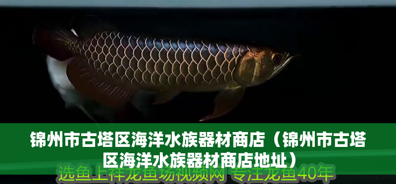 錦州市古塔區海洋水族器材商店（錦州市古塔區海洋水族器材商店地址） 錦州市古塔區海洋水族器材商店（錦州市古塔區海洋水族器材商店地址） 全國水族館企業名錄 第2張