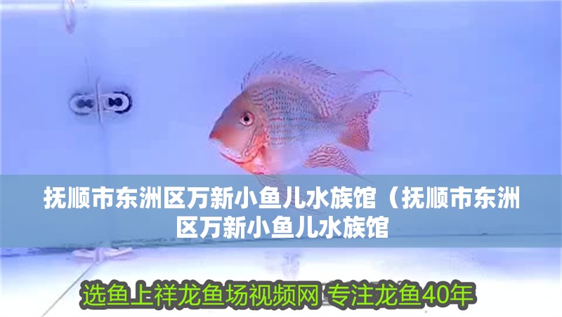 撫順市東洲區萬新小魚兒水族館（撫順市東洲區萬新小魚兒水族館