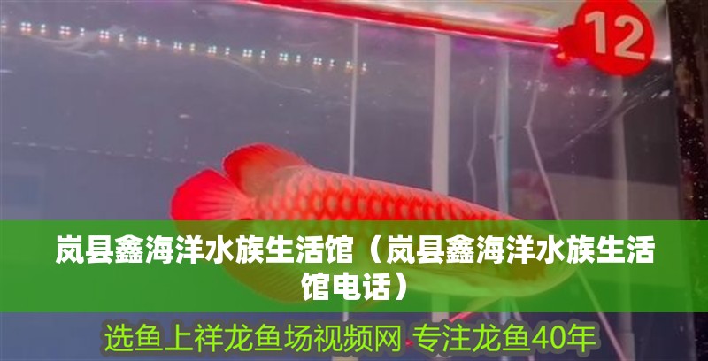 嵐縣鑫海洋水族生活館（嵐縣鑫海洋水族生活館電話） 嵐縣鑫海洋水族生活館（嵐縣鑫海洋水族生活館電話） 全國水族館企業名錄 第2張