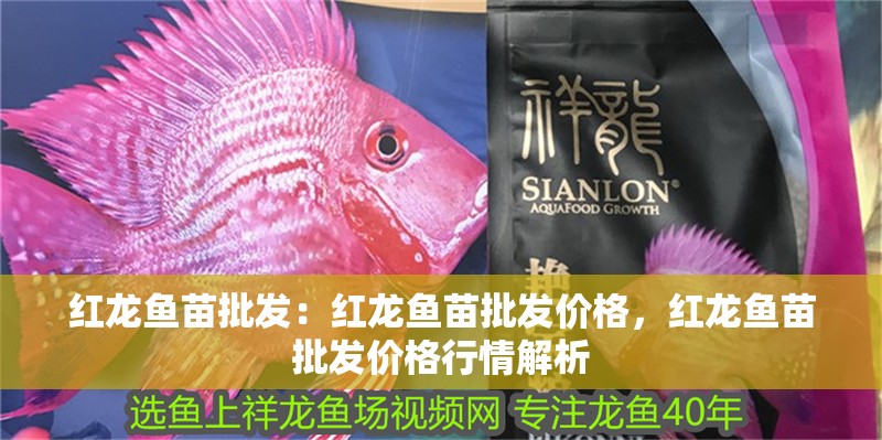 紅龍魚苗批發：紅龍魚苗批發價格，紅龍魚苗批發價格行情解析