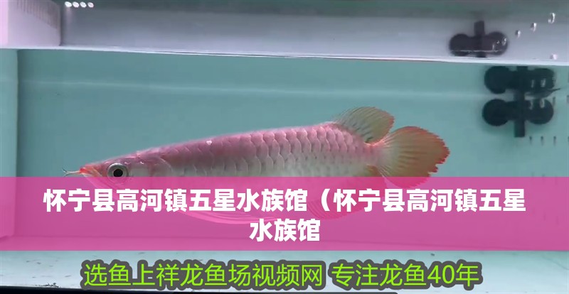 懷寧縣高河鎮五星水族館（懷寧縣高河鎮五星水族館
