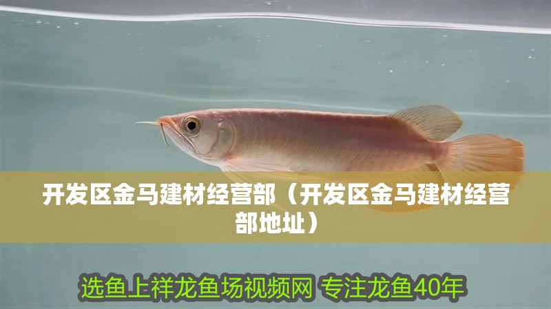 開發區金馬建材經營部（開發區金馬建材經營部地址） 開發區金馬建材經營部（開發區金馬建材經營部地址） 全國水族館企業名錄 第2張