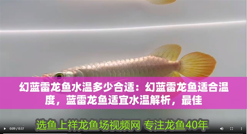 幻藍雷龍魚水溫多少合適:幻藍雷龍魚適合溫度,藍雷龍魚適宜水溫解析,最佳 水族問答 幻藍雷龍魚水溫多少合適:幻藍雷龍魚適合溫度,藍雷龍魚適宜水溫解析,最佳 幻藍雷龍魚水溫多少合適:幻藍雷龍魚適合溫度,藍雷龍魚適宜水溫解析,最佳 水族問答