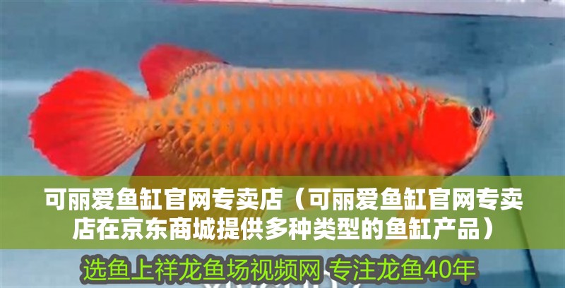 可麗愛魚缸官網專賣店（可麗愛魚缸官網專賣店在京東商城提供多種類型的魚缸產品）