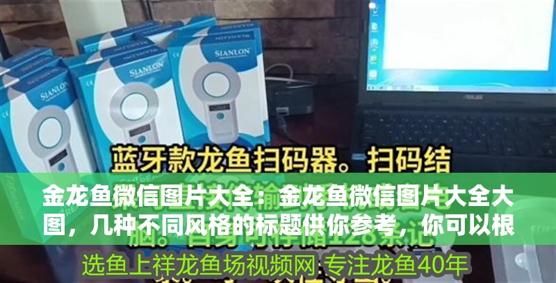 金龍魚微信圖片大全：金龍魚微信圖片大全大圖，幾種不同風(fēng)格的標(biāo)題供你參考，你可以根據(jù)具體使用場景進(jìn)行選擇，，??超全！金龍魚微信高清大圖圖片大全來襲，??一鍵收藏！金龍魚微信專屬圖片大集合，???驚艷視覺！金龍魚微信精美圖片