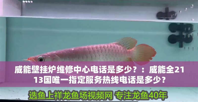 威能壁掛爐維修中心電話是多少？：威能全2113國唯一指定服務熱線電話是多少？