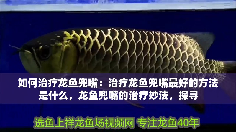 如何治療龍魚(yú)兜嘴：治療龍魚(yú)兜嘴最好的方法是什么，龍魚(yú)兜嘴的治療妙法，探尋