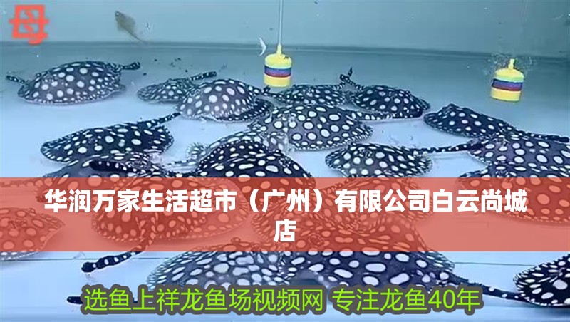 華潤萬家生活超市（廣州）有限公司白云尚城店