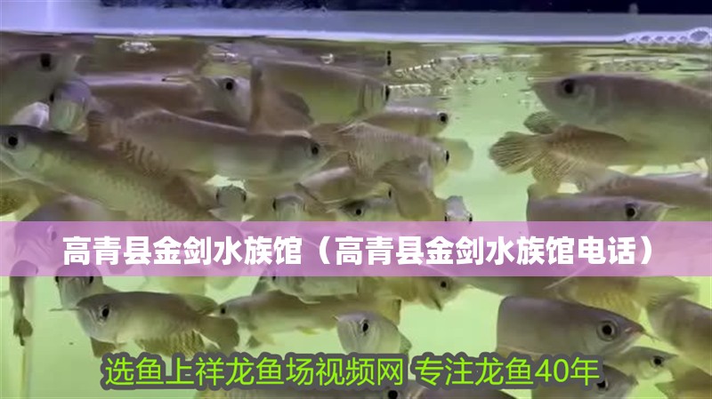 高青縣金劍水族館（高青縣金劍水族館電話） 高青縣金劍水族館（高青縣金劍水族館電話） 全國水族館企業名錄 第2張