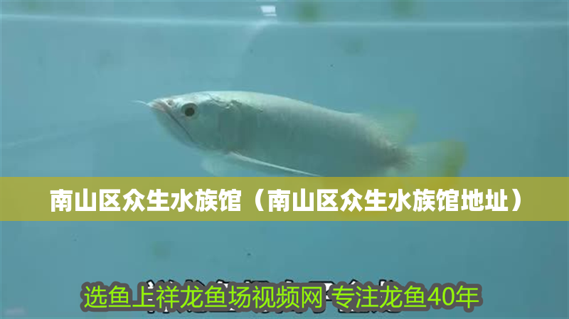 南山區眾生水族館（南山區眾生水族館地址）