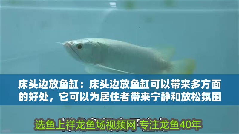 床頭邊放魚缸：床頭邊放魚缸可以帶來多方面的好處，它可以為居住者帶來寧靜和放松氛圍 床頭邊放魚缸：床頭邊放魚缸可以帶來多方面的好處，它可以為居住者帶來寧靜和放松氛圍 魚缸百科