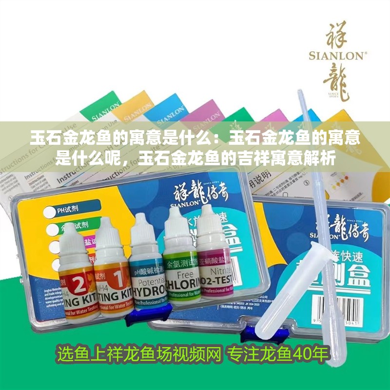 玉石金龍魚的寓意是什么：玉石金龍魚的寓意是什么呢，玉石金龍魚的吉祥寓意解析