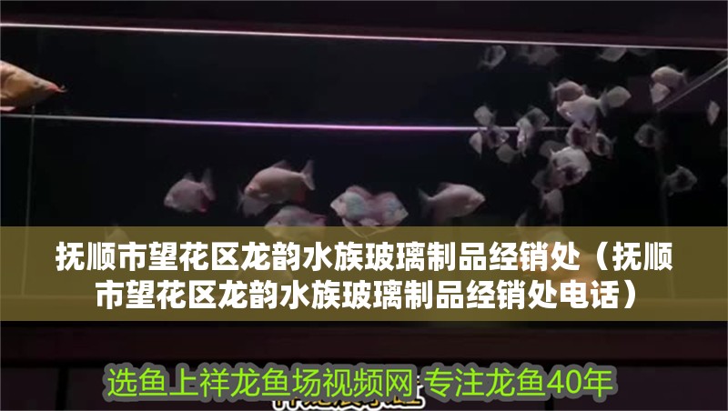 撫順市望花區龍韻水族玻璃制品經銷處（撫順市望花區龍韻水族玻璃制品經銷處電話）