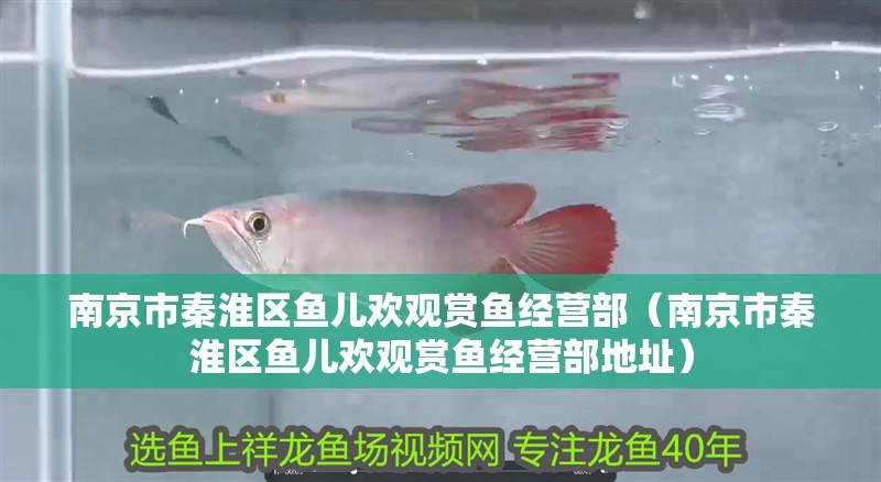 南京市秦淮區魚兒歡觀賞魚經營部（南京市秦淮區魚兒歡觀賞魚經營部地址） 南京市秦淮區魚兒歡觀賞魚經營部（南京市秦淮區魚兒歡觀賞魚經營部地址） 全國水族館企業名錄 第2張