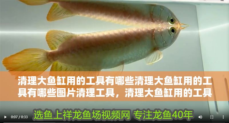 清理大魚缸用的工具有哪些清理大魚缸用的工具有哪些圖片清理工具，清理大魚缸用的工具有哪些
