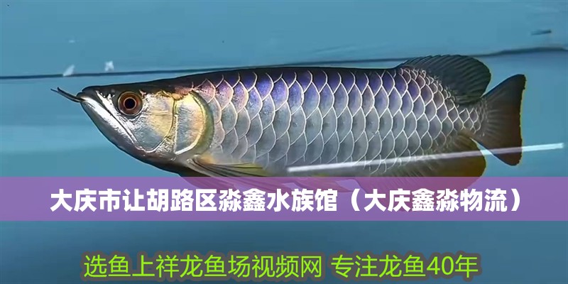 大慶市讓胡路區淼鑫水族館（大慶鑫淼物流） 大慶市讓胡路區淼鑫水族館（大慶鑫淼物流） 全國水族館企業名錄 第2張