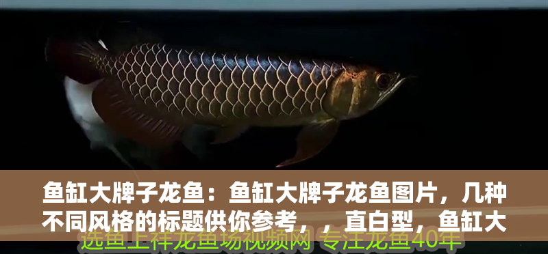 魚缸大牌子龍魚：魚缸大牌子龍魚圖片，幾種不同風格的標題供你參考，，直白型，魚缸大牌子龍魚高清圖片展示，吸引眼球型，驚艷！魚缸大牌子龍魚絕美圖片大賞，文藝風，邂逅魚缸大牌子龍魚，領(lǐng)略靈動之美——