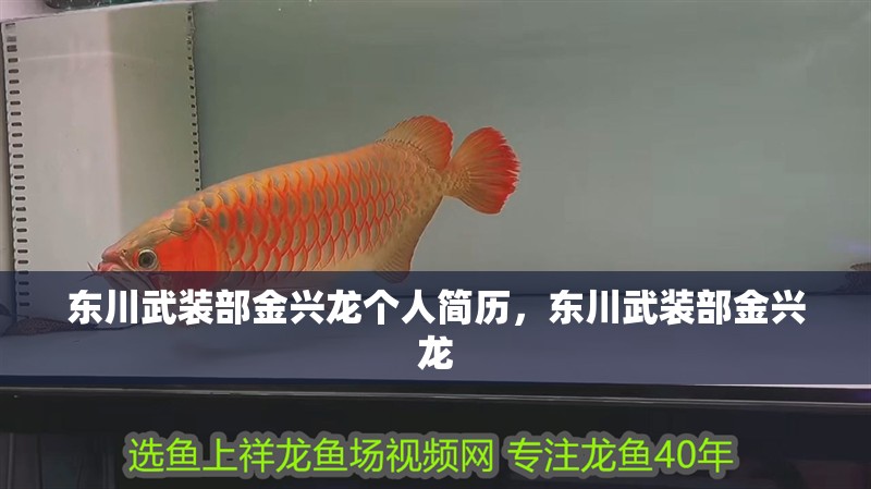 東川武裝部金興龍個人簡歷，東川武裝部金興龍