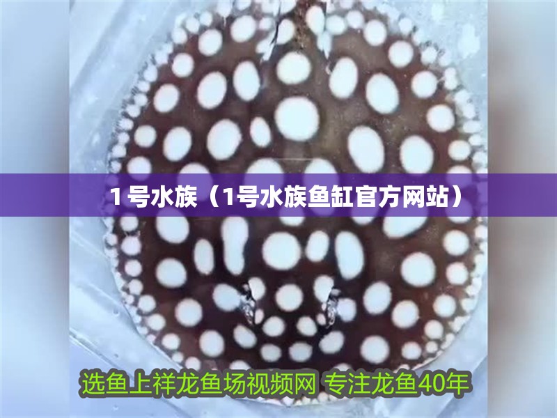 １號(hào)水族（1號(hào)水族魚缸官方網(wǎng)站）