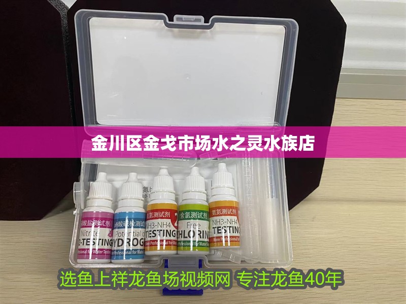 金川區(qū)金戈市場水之靈水族店 金川區(qū)金戈市場水之靈水族店 全國水族館企業(yè)名錄 第2張