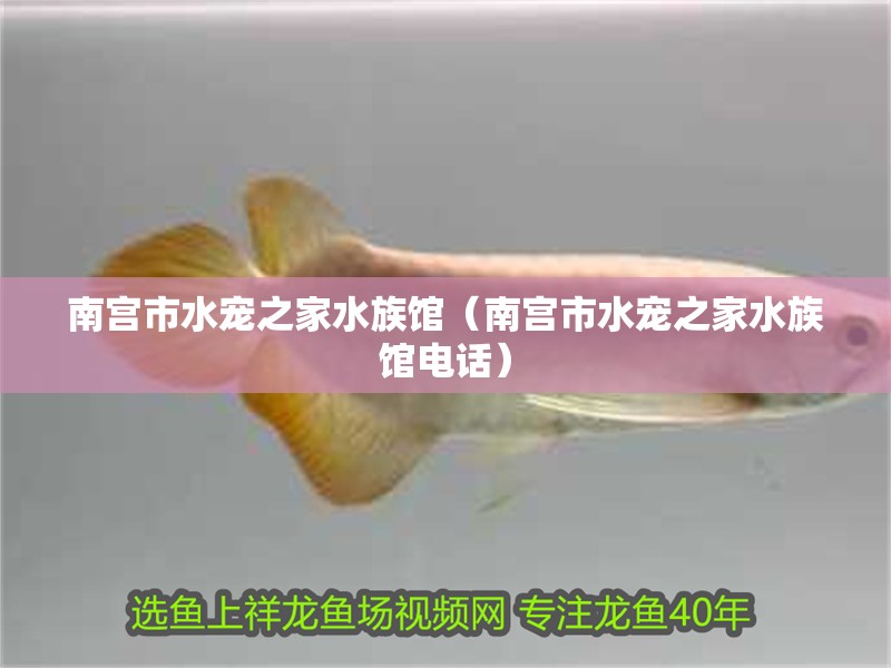 南宮市水寵之家水族館(南宮市水寵之家水族館電話) 全國水族館企業名錄 第2張 南宮市水寵之家水族館(南宮市水寵之家水族館電話) 南宮市水寵之家水族館(南宮市水寵之家水族館電話) 全國水族館企業名錄 第2張