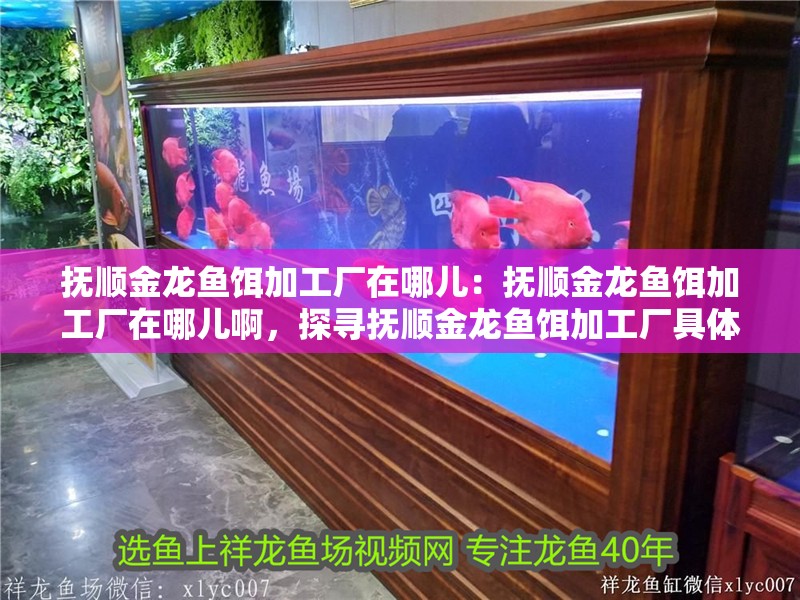 撫順金龍魚餌加工廠在哪兒：撫順金龍魚餌加工廠在哪兒啊，探尋撫順金龍魚餌加工廠具體 撫順金龍魚餌加工廠在哪兒：撫順金龍魚餌加工廠在哪兒啊，探尋撫順金龍魚餌加工廠具體 水族問答