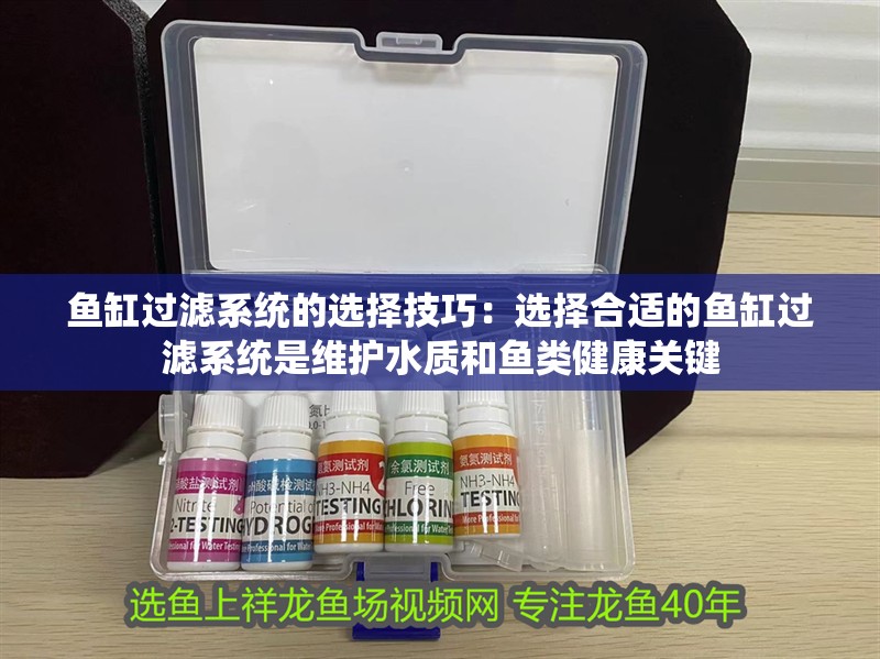 魚缸過濾系統的選擇技巧：選擇合適的魚缸過濾系統是維護水質和魚類健康關鍵 魚缸過濾系統的選擇技巧：選擇合適的魚缸過濾系統是維護水質和魚類健康關鍵 魚缸百科