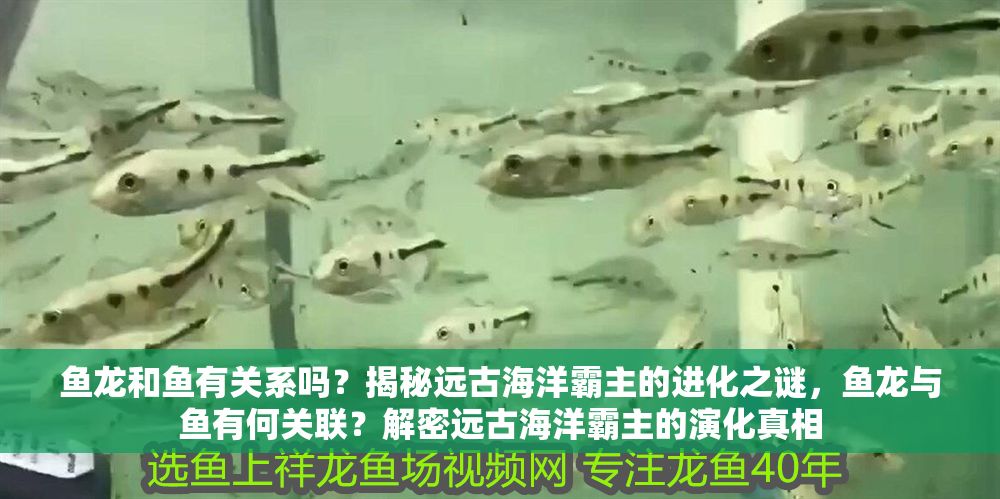 詳細閱讀:魚龍和魚有關系嗎?揭秘遠古海洋霸主的進化之謎,魚龍與魚有何關聯?解密遠古海洋霸主的演化真相 魚龍和魚有關系嗎?揭秘遠古海洋霸主的進化之謎,魚龍與魚有何關聯?解密遠古海洋霸主的演化真相