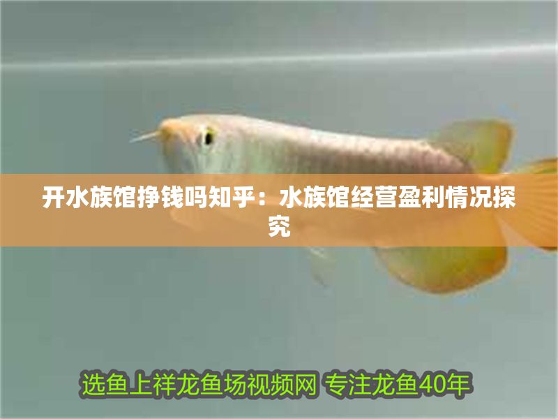 開水族館掙錢嗎知乎：水族館經營盈利情況探究 開水族館掙錢嗎知乎：水族館經營盈利情況探究 水族館百科（水族館加盟） 第6張