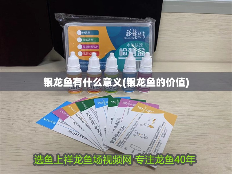 銀龍魚有什么意義(銀龍魚的價(jià)值)