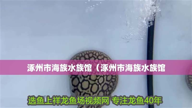 涿州市海族水族館（涿州市海族水族館 涿州市海族水族館（涿州市海族水族館 全國水族館企業名錄 第2張