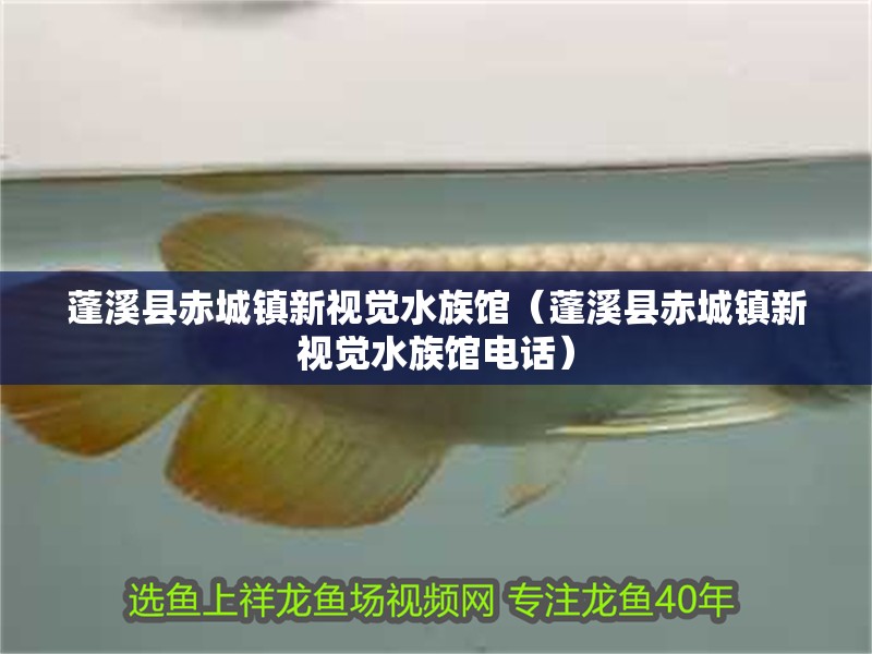 蓬溪縣赤城鎮新視覺水族館（蓬溪縣赤城鎮新視覺水族館電話）
