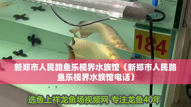新鄭市人民路魚樂視界水族館（新鄭市人民路魚樂視界水族館電話）