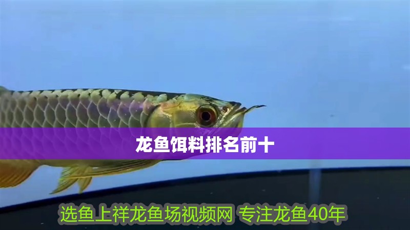 龍魚餌料排名前十