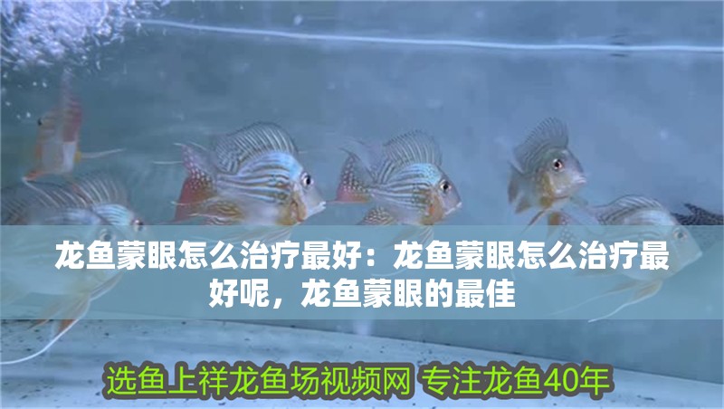 龍魚蒙眼怎么治療最好：龍魚蒙眼怎么治療最好呢，龍魚蒙眼的最佳