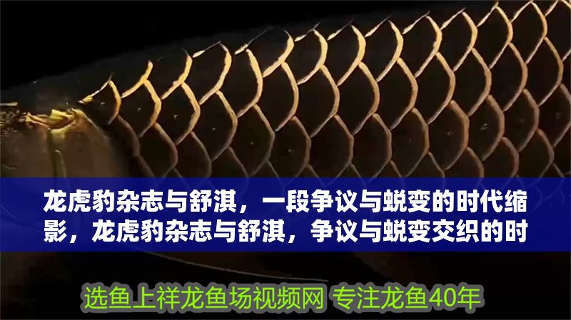 龍虎豹雜志與舒淇，一段爭議與蛻變的時代縮影，龍虎豹雜志與舒淇，爭議與蛻變交織的時代印記