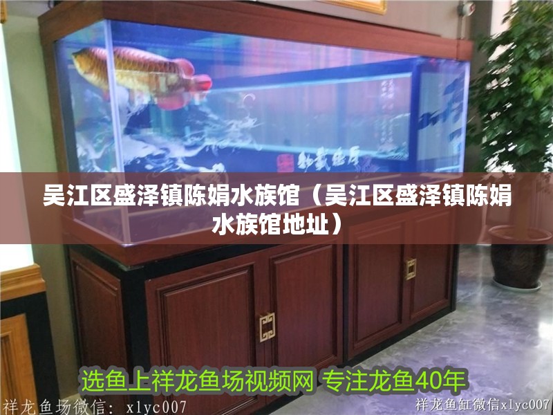 吳江區盛澤鎮陳娟水族館（吳江區盛澤鎮陳娟水族館地址）