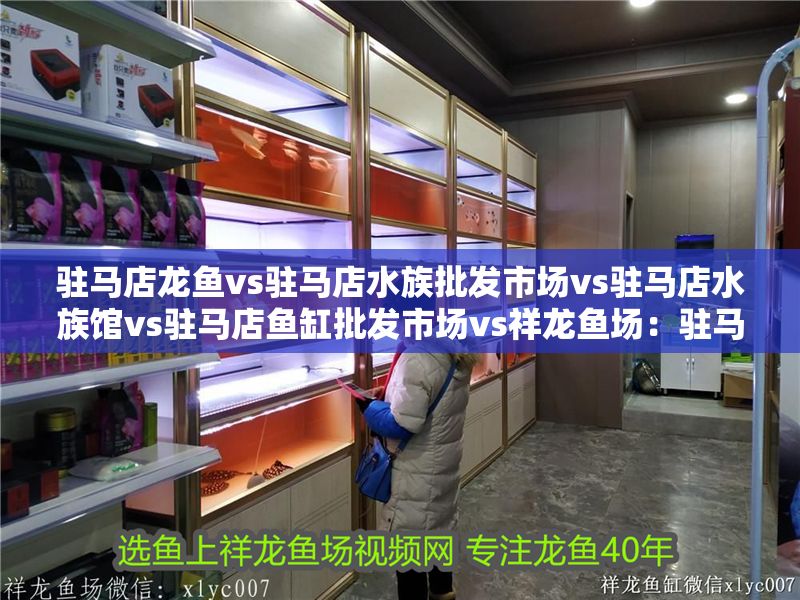 駐馬店龍魚vs駐馬店水族批發(fā)市場vs駐馬店水族館vs駐馬店魚缸批發(fā)市場vs祥龍魚場：駐馬店地區(qū)龍魚養(yǎng)殖、交易及水族相關(guān)市場的發(fā)展情況 駐馬店龍魚vs駐馬店水族批發(fā)市場vs駐馬店水族館vs駐馬店魚缸批發(fā)市場vs祥龍魚場：駐馬店地區(qū)龍魚養(yǎng)殖、交易及水族相關(guān)市場的發(fā)展情況 祥龍魚場各市分站 第2張