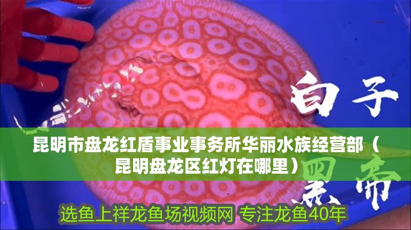 昆明市盤龍紅盾事業(yè)事務(wù)所華麗水族經(jīng)營部（昆明盤龍區(qū)紅燈在哪里）