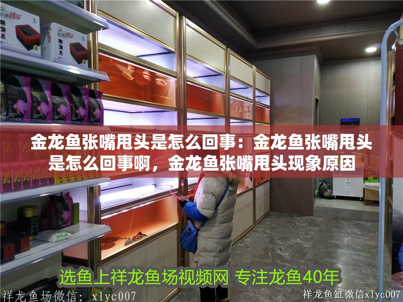 金龍魚張嘴甩頭是怎么回事：金龍魚張嘴甩頭是怎么回事啊，金龍魚張嘴甩頭現象原因 金龍魚張嘴甩頭是怎么回事：金龍魚張嘴甩頭是怎么回事啊，金龍魚張嘴甩頭現象原因 水族問答