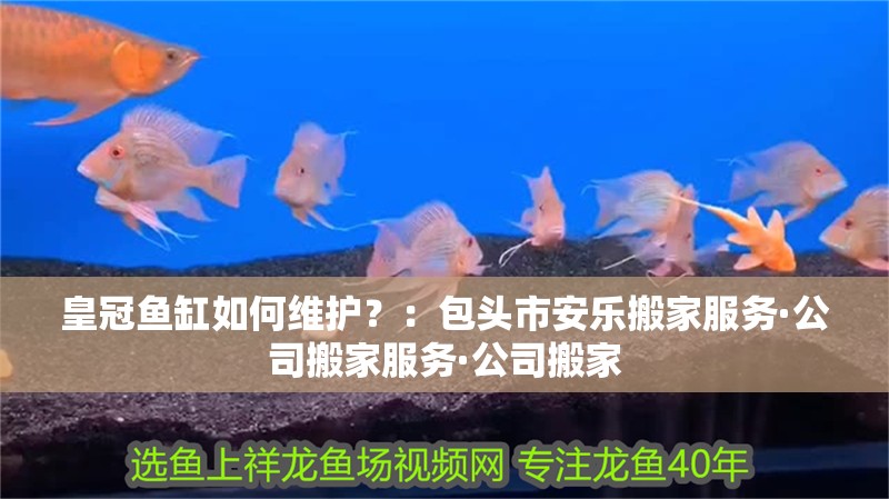皇冠魚缸如何維護？：包頭市安樂搬家服務·公司搬家服務·公司搬家