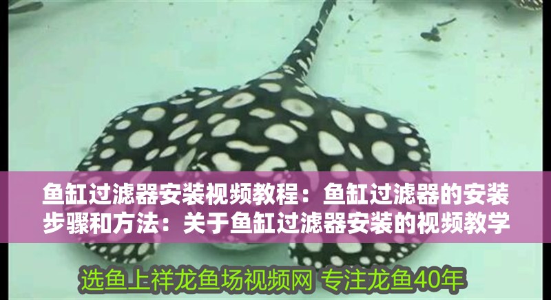 魚缸過濾器選購指南:自制魚缸過濾器魚缸上置過濾器對于養魚愛好者的必備知識 魚缸過濾器安裝視頻教程:魚缸過濾器的安裝步驟和方法:關于魚缸過濾器安裝的視頻教學 魚缸百科 魚缸過濾器安裝視頻教程:魚缸過濾器的安裝步驟和方法:關于魚缸過濾器安裝的視頻教學 魚缸過濾器安裝視頻教程:魚缸過濾器的安裝步驟和方法:關于魚缸過濾器安裝的視頻教學 魚缸百科