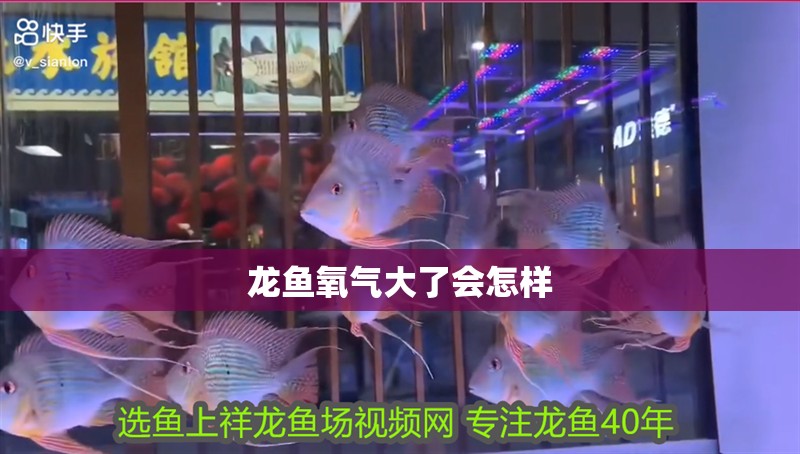 龍魚氧氣大了會怎樣