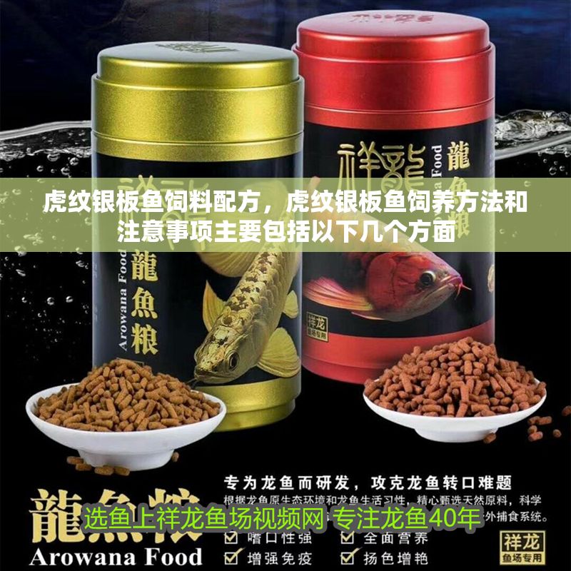 虎紋銀板魚飼料配方，虎紋銀板魚飼養方法和注意事項主要包括以下幾個方面