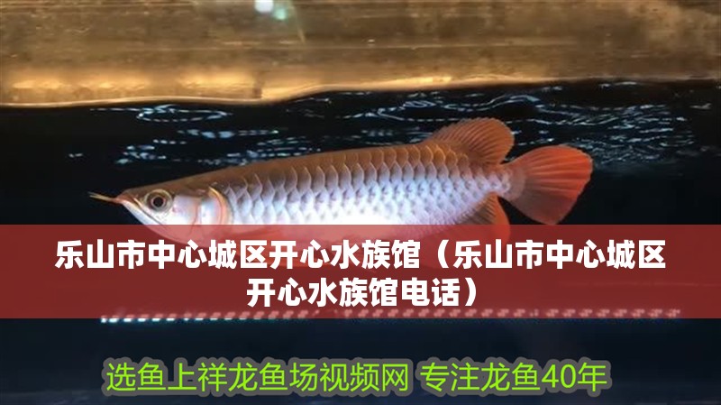樂山市中心城區開心水族館（樂山市中心城區開心水族館電話）